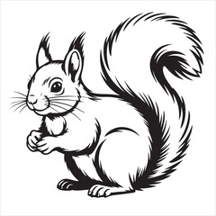 squirrel on white background line art design