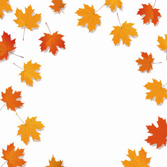 Fototapeta premium “Autumn Leaves Minimal Background”