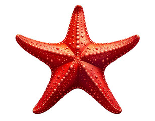 Side-Angle Red Starfish with Curved Arms, Transparent PNG, AI Generated