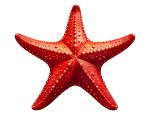 Side-Angle Red Starfish with Curved Arms, Transparent PNG, AI Generated
