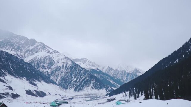 Snow covered tree forest and beautiful mountain landscape on cloudy winter day at Sonamarg, Jammu and Kashmir, India. Landscape covered with snow.  Winter mountains, winter holidays.