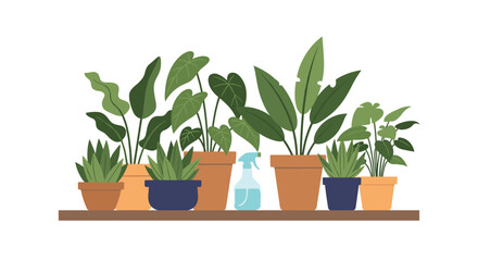 A collection of vibrant, healthy houseplants displayed on a wooden shelf, creating a calming and natural indoor environment for home decor.