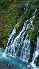 Shirahige Waterfall with deep cobalt blue hue, Biei river flow beneath, also known as the White Beard Waterfall, this cascading water turns cobalt blue in the basin. Shirogane, Biei, Hokkaido, Japan