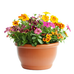 Obraz premium Terracotta pot overflowing with vibrant colorful blooming flowers isolated on transparent background