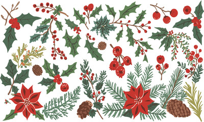 template of a set of winter botanical silhouettes featuring delicate twigs with tiny buds, clusters of juicy red berries, intricately detailed leaves with png Transparent 