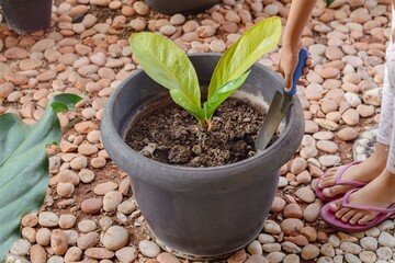 A little girl gardening in front of the house