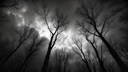Obraz premium Stormy Monochrome Landscape with Silhouetted Trees