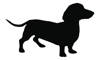 Black silhouette of a dachshund dog with adobe illustrator icon