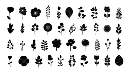 A collection of hand-drawn flower and leaf illustrations in various styles and shapes, showcasing botanical diversity and artistic design.