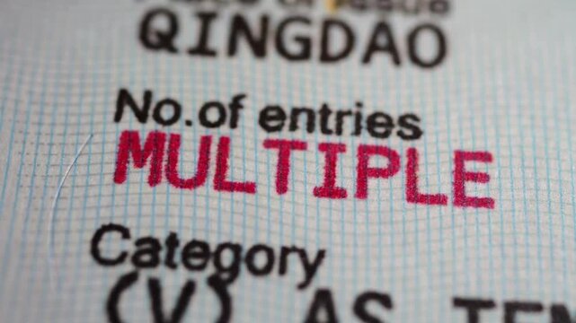 A sharp close-up on visa entry terms, highlighting No. of entries MULTIPLE in bold red text within an official document.