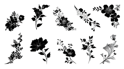 A collection of intricate floral illustrations featuring various blooms and leaves in a detailed, hand-drawn style.