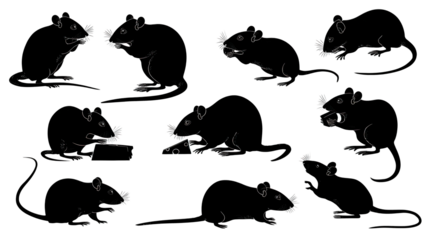 A series of stylized illustrations depicting various poses of a mouse, showcasing its playful and curious nature.