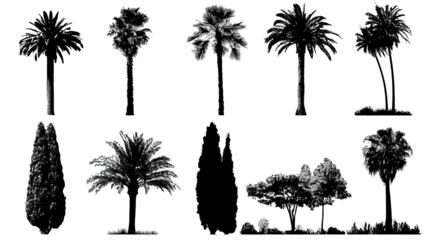 A collection of various tree silhouettes showcasing different shapes and sizes, emphasizing their unique characteristics.