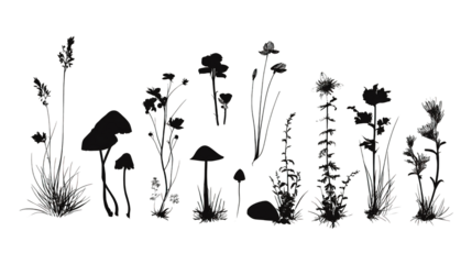 A collection of various plant silhouettes, showcasing different types of flowers, grasses, and mushrooms arranged in a row.