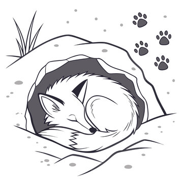 Cute cartoon fox curled up sleeping peacefully inside a cozy den with paw prints above