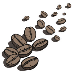 A scattering of roasted coffee beans with a hand drawn style and subtle shadows on a white background