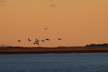 wadden sea sunrise