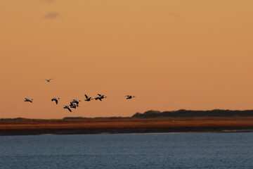 wadden sea sunrise