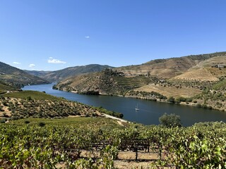 Douro valley wine region Portugal © Larry