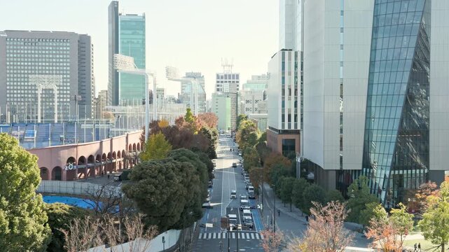 Autumn in Tokyo : On a Sunny Day in a City Lined with Stadiums, Cultural Facilities, and Skyscrapers, the Trees along the Streets Begin to Change Color  |  Gaienmae, Tokyo, Japan
