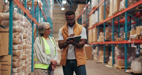 People, team and tablet for stock in warehouse with supply chain, discussion and meeting. Group, logistics and tech for review, export or talk with inventory management for shipping quality control - Powered by Adobe