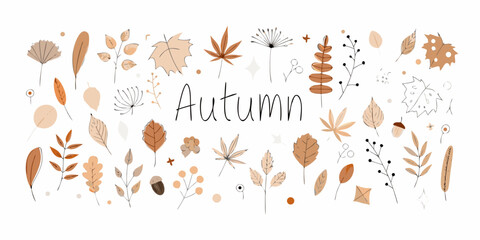 Collection of hand drawn autumn leaves and botanical elements in warm earthy tones