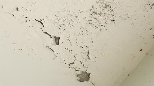 Gros plan sur un mur ayant pris l'humidit&eacute; avec de la peinture d&eacute;fra&icirc;chie.