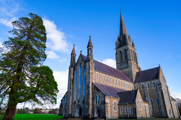 The beautiful Gothic Revival architecture of St Mary’s Cathedral, completed in 1855, next to the Killarney National Park in County Kerry, Ireland, with a tall pine tree