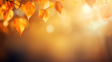 Golden Autumn Leaves Frame Soft Gradient Background. Creates warm seasonal feel for product display, website design, or social media.