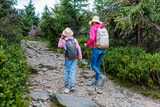 Mother and daughter hiking along a rocky forest trail with trekking poles, rear view with backpacks and sun hats, active family outdoor travel and adventure scene in summer conifer woodland