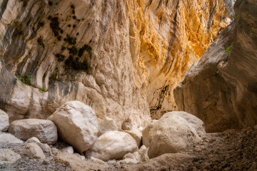 Limestone rocks (Supramonte massif), carved by Rio Flumineddu river over millions of years. Patinas of time and moisture (Orange): Limestone can take on orange or rusty shades due to iron oxides