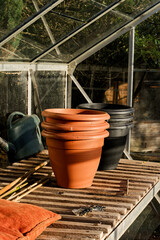 greenhouse in garden