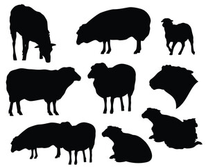 lying, grazing and standing sheep herd - farm animal pasture scene black and white vector silhouette outline set