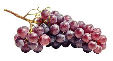 Fresh Bunch Of Red Seedless Grapes With Water Droplets On A Transparent Background Natural Healthy Food