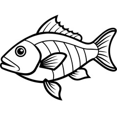 Snapper line art vector