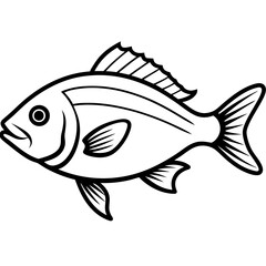 Snapper line art vector