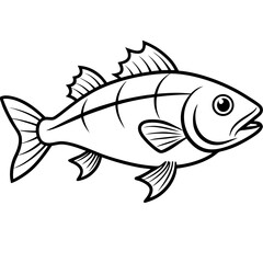 Snapper line art vector
