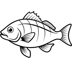 Snapper line art vector