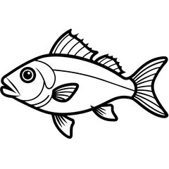 Snapper line art vector