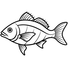 Snapper line art vector