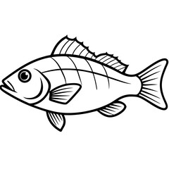 Snapper line art vector