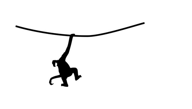 gibbon on tree, black isolated silhouette