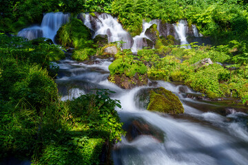 吹き出し公園の清流と苔むした岩（北海道京極町）