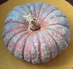 pumpkin on a yellow background