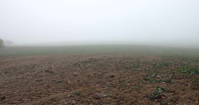 an agricultural field plowed in autumn for spring sowing, cloudy weather in the autumn season, fog during large temperature fluctuations in autumn