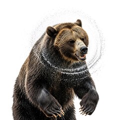 Fototapeta premium Majestic grizzly bear standing tall against a white background
