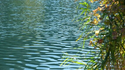 Amazing turquoise water color, lake surface, space for text