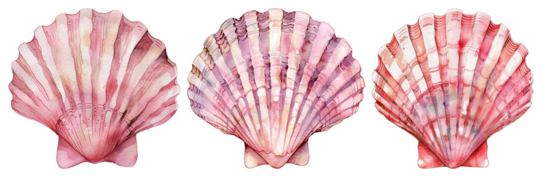 Vibrant watercolor seashell trio