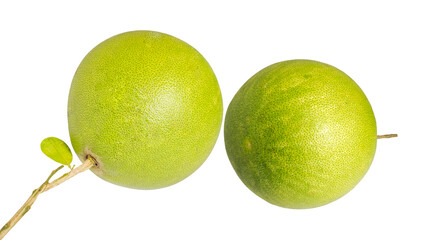 Pomelo fruit isolated on Transparent background.