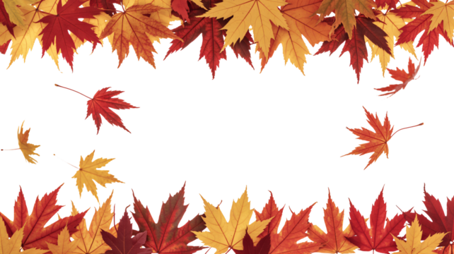 Vibrant autumn maple leaves cascade creating a festive seasonal border for your creative projects, evoking warmth and natural beauty.